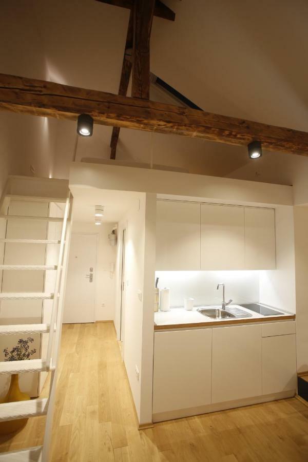 Studio Apartman Olaf Zágráb Kültér fotó
